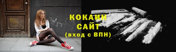 гашик Майский