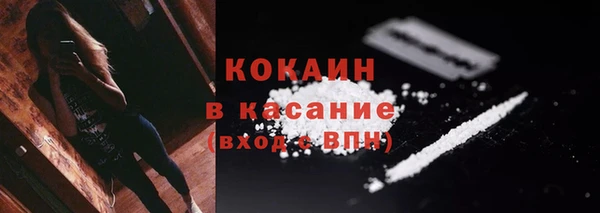 гашик Майский
