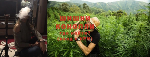 гашик Майский