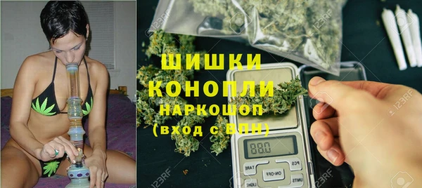 гашик Майский