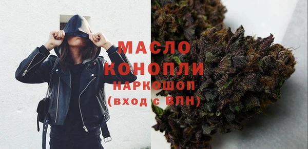 гашик Майский