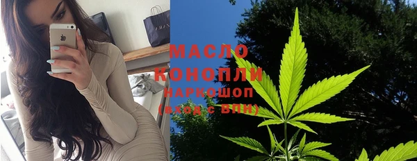 гашик Майский