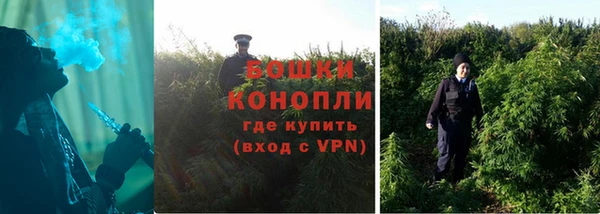 гашик Майский