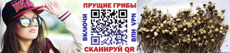 Галлюциногенные грибы Magic Shrooms Шумерля